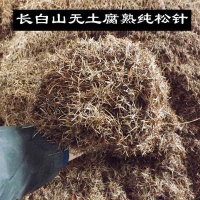 新疆包邮兰花松针土橡树叶腐叶腐熟松针多肉君子兰专用天然营养腐