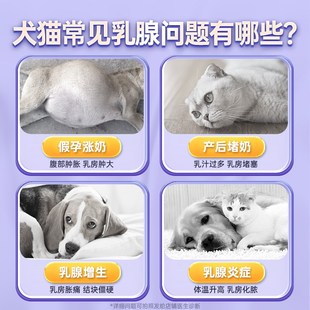 宠医到猫咪狗狗乳癖消爱双理片宠物用乳腺炎假孕非药涨奶回奶子宫