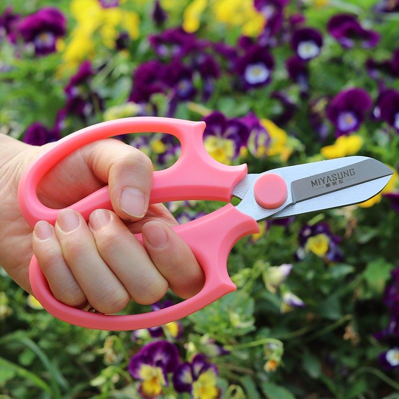 园艺剪刀修剪树枝园林园艺花剪子花卉果树花艺枝剪修枝剪修花剪刀,鲜花速递/花卉仿真/绿植园艺,剪刀,淘宝优惠券,粉丝福利购,淘宝优惠卷