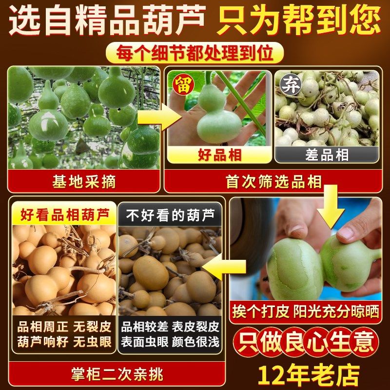 天然葫芦太极八卦福字真葫芦五帝钱摆件门对门客厅玄关车挂件