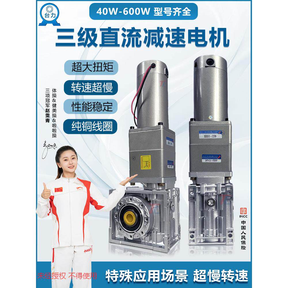 直流多级减速电机12v24V涡轮蜗杆齿轮慢速双出轴电机马达可调变速
