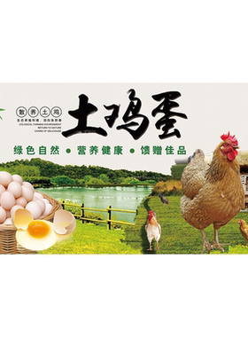 土鸡蛋海报展板农家土鸡蛋土鸡蛋还是散养的好墙贴墙纸装饰画KT板