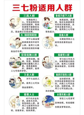 中草药三七粉使用人群广告宣传海报三七生粉熟粉功能食用方法挂图