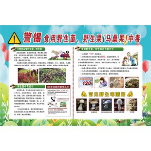 野生毒菌毒蘑菇嚴防野生菌中毒禁止采食用毒蘑菇標示警示牌海報印