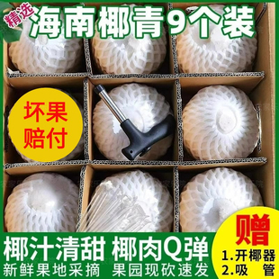 包邮 孕妇水果去皮一整箱 特产 海南椰青新鲜椰汁香水椰子9个装 当季