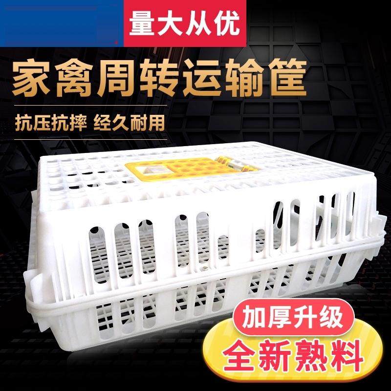 鸭笼周转筐转运鹌鹑肉兔笼加大家禽周转箱柴鸡车载大鸡运输车载箱,畜牧/养殖物资,畜牧/养殖器械,淘宝优惠券,粉丝福利购,淘宝优惠卷