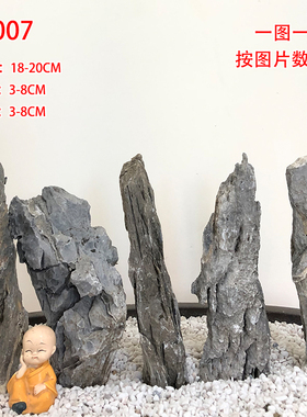 抱树石天然造景石客厅田园精品盆景桌面庭院附树石送礼装饰品摆件