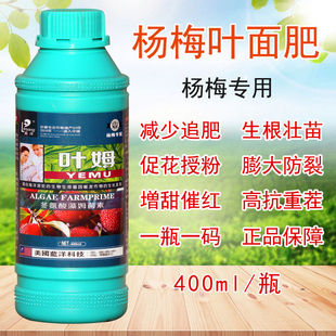 叶姆杨梅树专用肥料叶面肥果树肥料专用复合肥料坐果膨大保花保