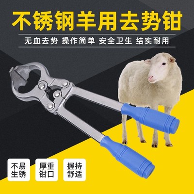 羊用去势钳无血煽羊钳阉割钳不锈钢羊去势钳去势器夹子夹蛋钳