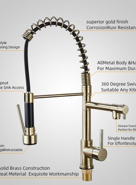 多功能双出水美式抽拉弹簧龙头家用厨房洗菜盆水槽防溅水龙头冷热