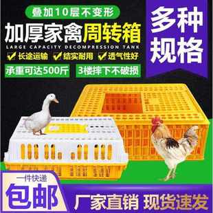 塑料鸡笼运输笼家用大号成鸡周转箱装鸡鸭鹅禽笼子养殖的鸡筐。