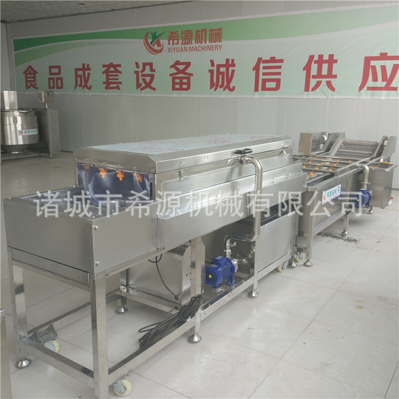 现货毛刷气泡洗果机 毛刷清洗去杂机 平行毛辊清洗线 XY-2500型