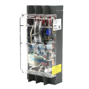 DZL漏电断路器壳工地三相四线漏电保护关人民电器