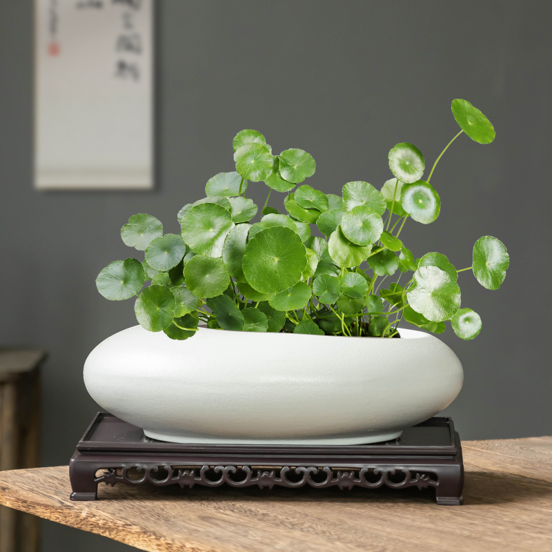 复古鹅蛋铜钱草水培花盆无孔室内客厅带托大小号椭圆形摆件盆栽