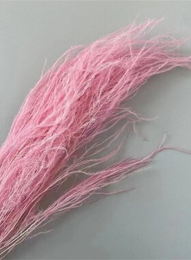 龙须草永生梦幻羽毛草干婚庆饰软艺材吊文竹真
