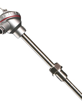 WZ22 一体化温度变送器 t热电阻 二线制 2m输出