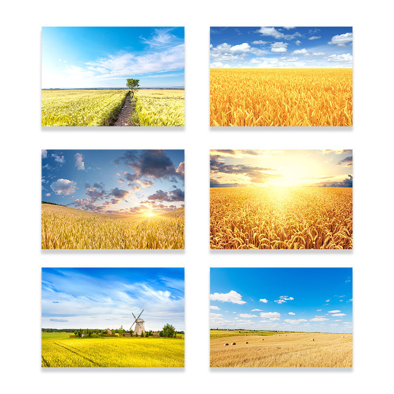 风景装饰画现代田园风格卧室床头壁画酒店民宿挂画走廊画,家居饰品,现代装饰画,淘宝优惠券,粉丝福利购,淘宝优惠卷