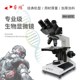 生物显微镜相衬光学学生科研科学倍睿鸿目相差