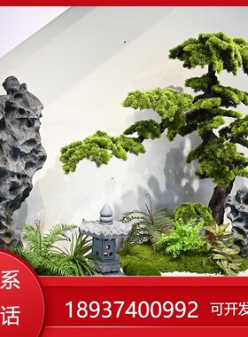 入户室内复式迎客松景观绿植下仿真造景院子假山太石
