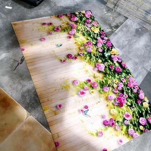 化纤3d地垫卧室地毯入口垫子大门蹭鞋进门免洗淋浴房Y防水入户门