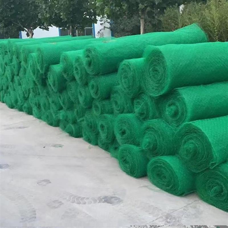三维植被网护坡固土网三维网垫绿化高速边坡生态植草网源头厂家