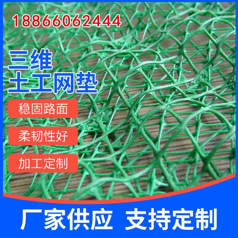 三维植被网 护坡固土网土工网 园林绿化网垫三维植草网绿色植被网
