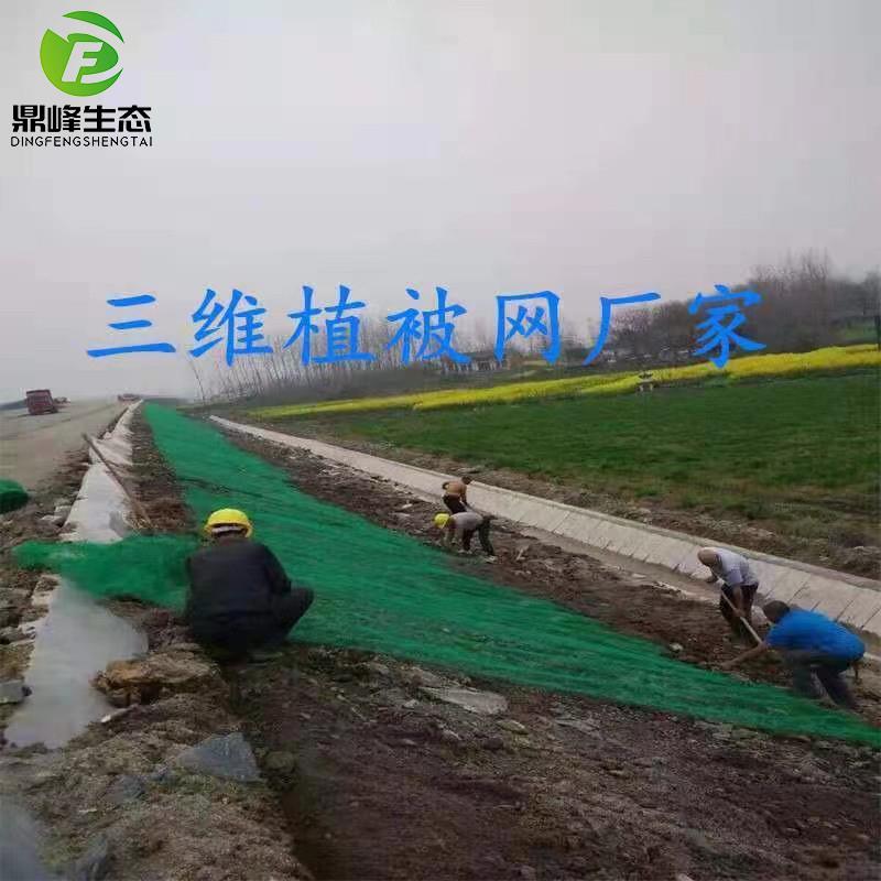 三维植被网护坡固土网三维网垫绿化高速边坡生态绿化植草网