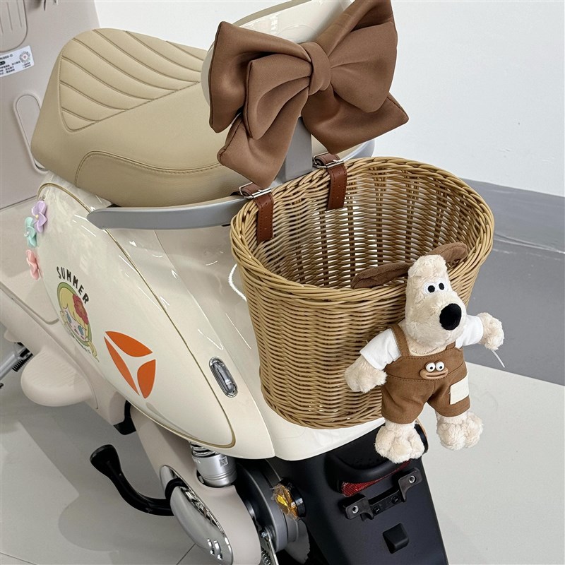 电动车后置防水车筐前置挂物兜车筐收纳杂物神器电瓶车自行车挂包