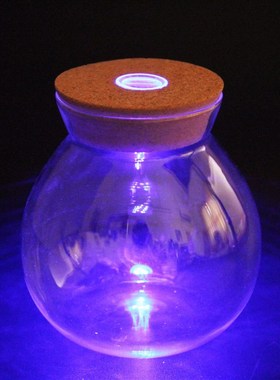 苔藓微景观 七彩带灯玻璃瓶 彩灯木塞玻璃瓶 LED蜡烛带遥控器