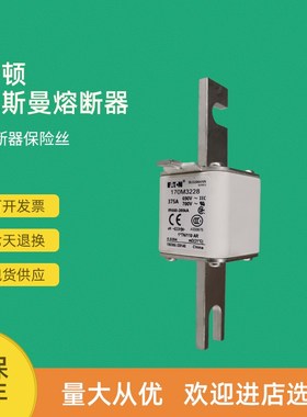 全新快速熔断器保险170M3510 170M3511 170M3512 170M3513
