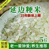 东北粳米正宗延边大米一级农家现磨晚稻粳米圆粒煮粥梗米新米5斤