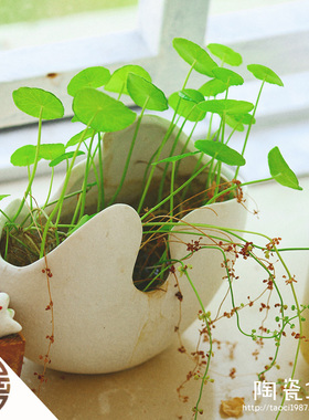 创意另类蛋壳形陶瓷盆 器家居桌面装饰品装 工艺品