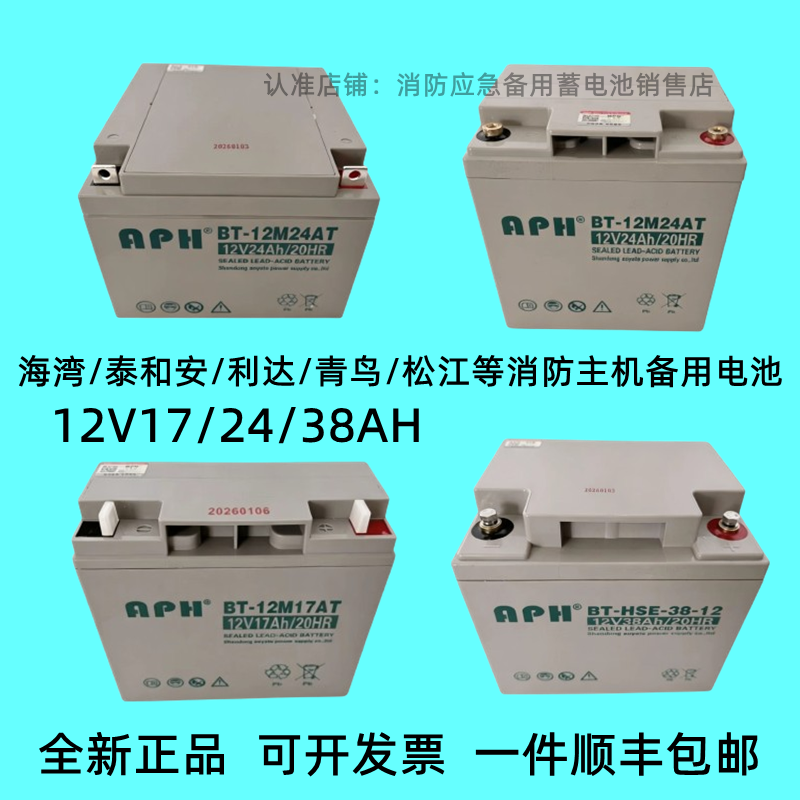 蓄电池BT-12M24AT海湾泰和安12V24AH17AH38AH北大青鸟消防主机UPS