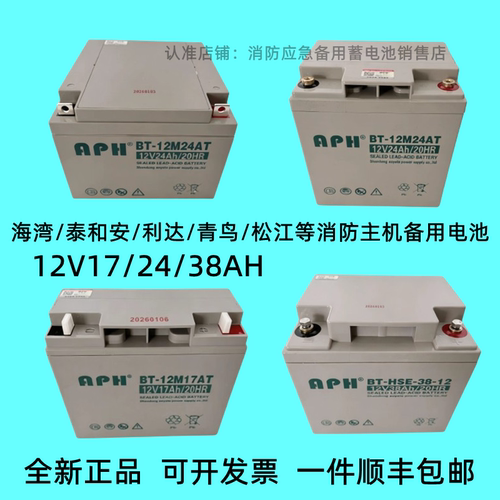 蓄电池BT-12M24AT海湾泰和安12V24AH17AH38AH北大青鸟消防主机UPS