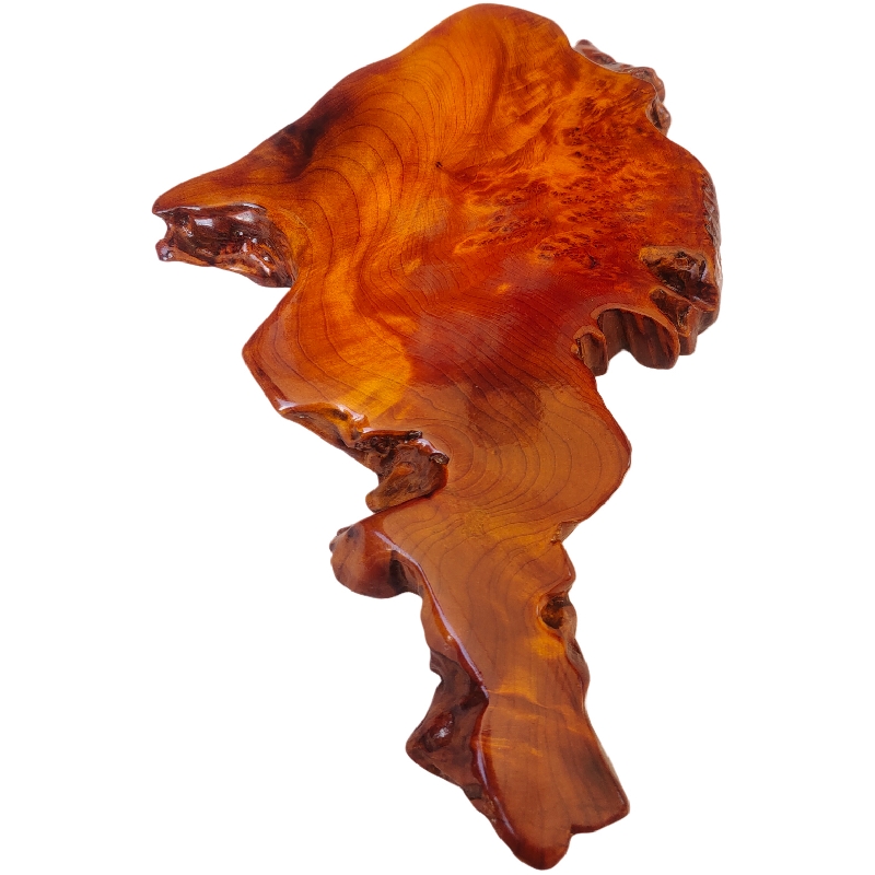 天然香杉木茶盘茶台随形满金丝瘤疤根雕自然形禅意实木干泡台摆件