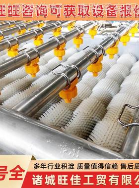 供应脐橙毛刷清洗机钢 不锈毛辊清式洗机 商用行毛辊清VOF洗平机