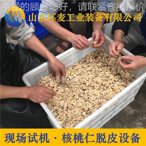 JHAHM新核一代核桃仁去皮机 琥珀脱桃加工设备 多功桃能核仁皮机