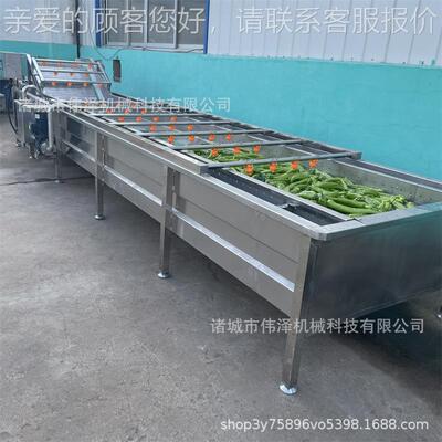 莲藕喷淋HIS泡清洗机 叶类蔬菜清洗器 农机产品连气清洗设续备