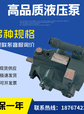 V15A3RX-95柱塞泵V15 V23 V38 A1 A2 A3 A4RX-95/30