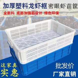 龙虾筐密眼虾苗筐装 小龙虾运输筐水产专用框加厚塑料周转筐熟胶筐