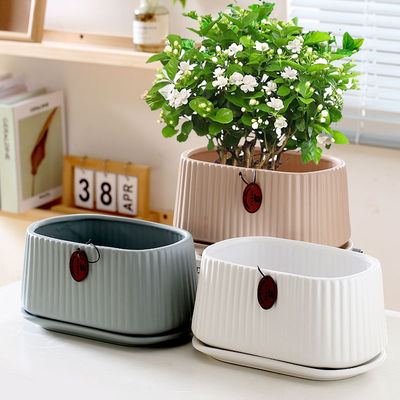 花盆陶瓷清仓处理长方形盆带底托盘轻奢高级感盆家用多肉花盆大号