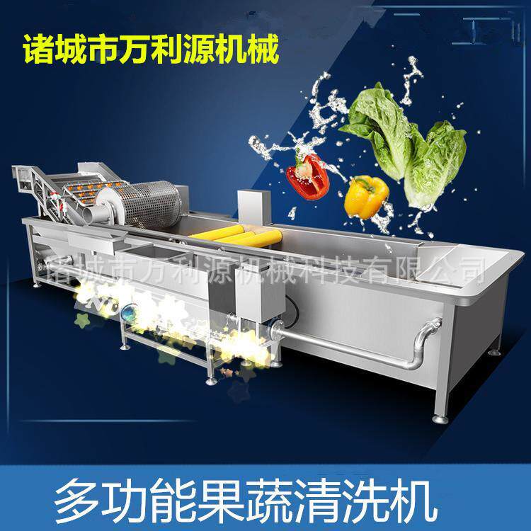 全自动人参清洗机百合网带气泡式清洗果蔬多功能气泡加工设备