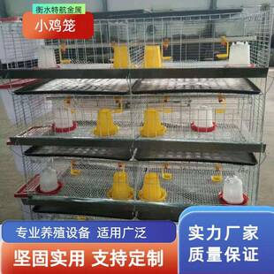 立式四层小鸡笼育雏鸡笼层叠式养鸡设备加粗加密养殖笼养殖场家用