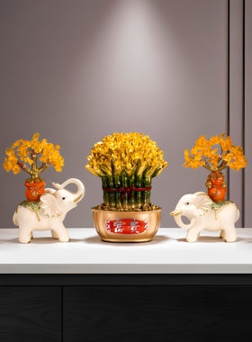 新的中国风格的客厅装饰，优雅的优雅，优雅的家庭入口大厅，优雅