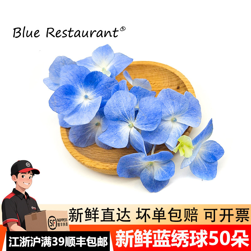 新鲜蓝绣球50朵烘焙摆盘冷盘花艺