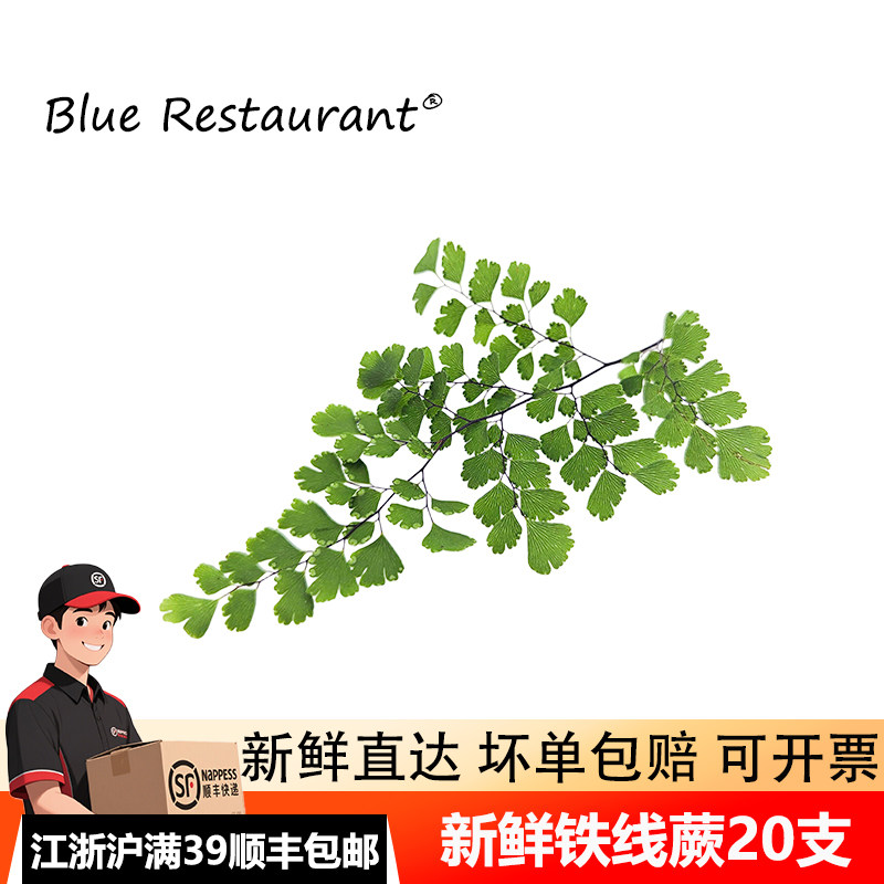 铁线蕨点缀西餐蛋糕烘焙装饰