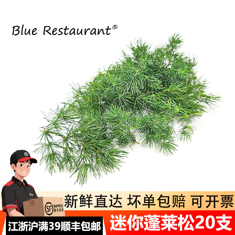 新鲜蓬莱松20支烘焙摆盘装饰
