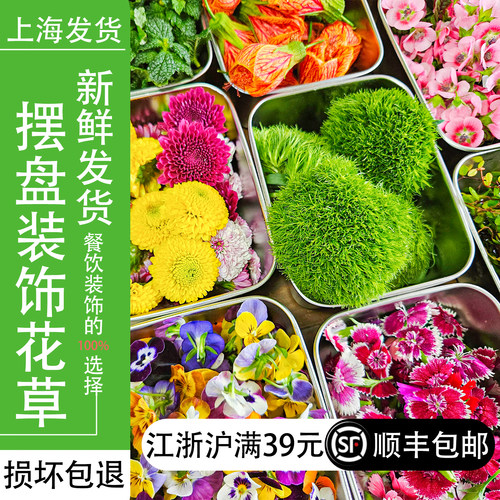 新鲜胡椒木清香木摆盘