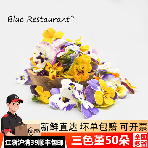 新鲜三色堇花草摆盘蛋糕装饰点缀