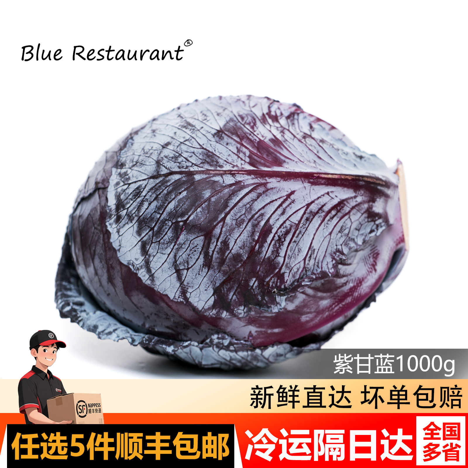 蓝餐厅新鲜紫甘蓝1000g